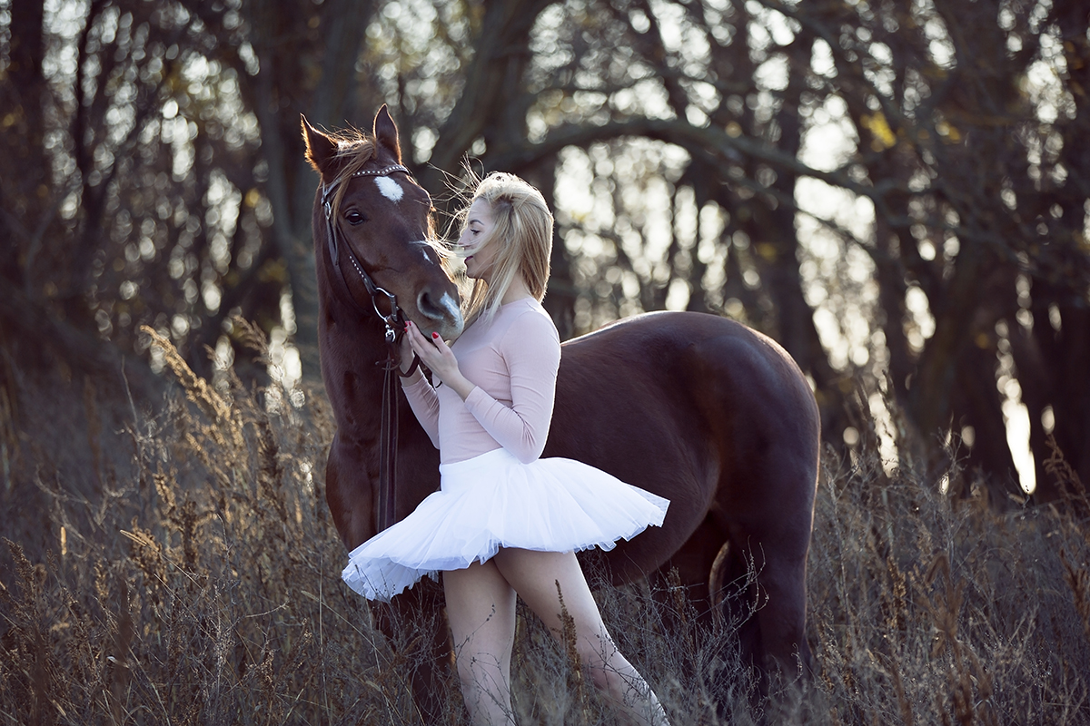 Man and horse
