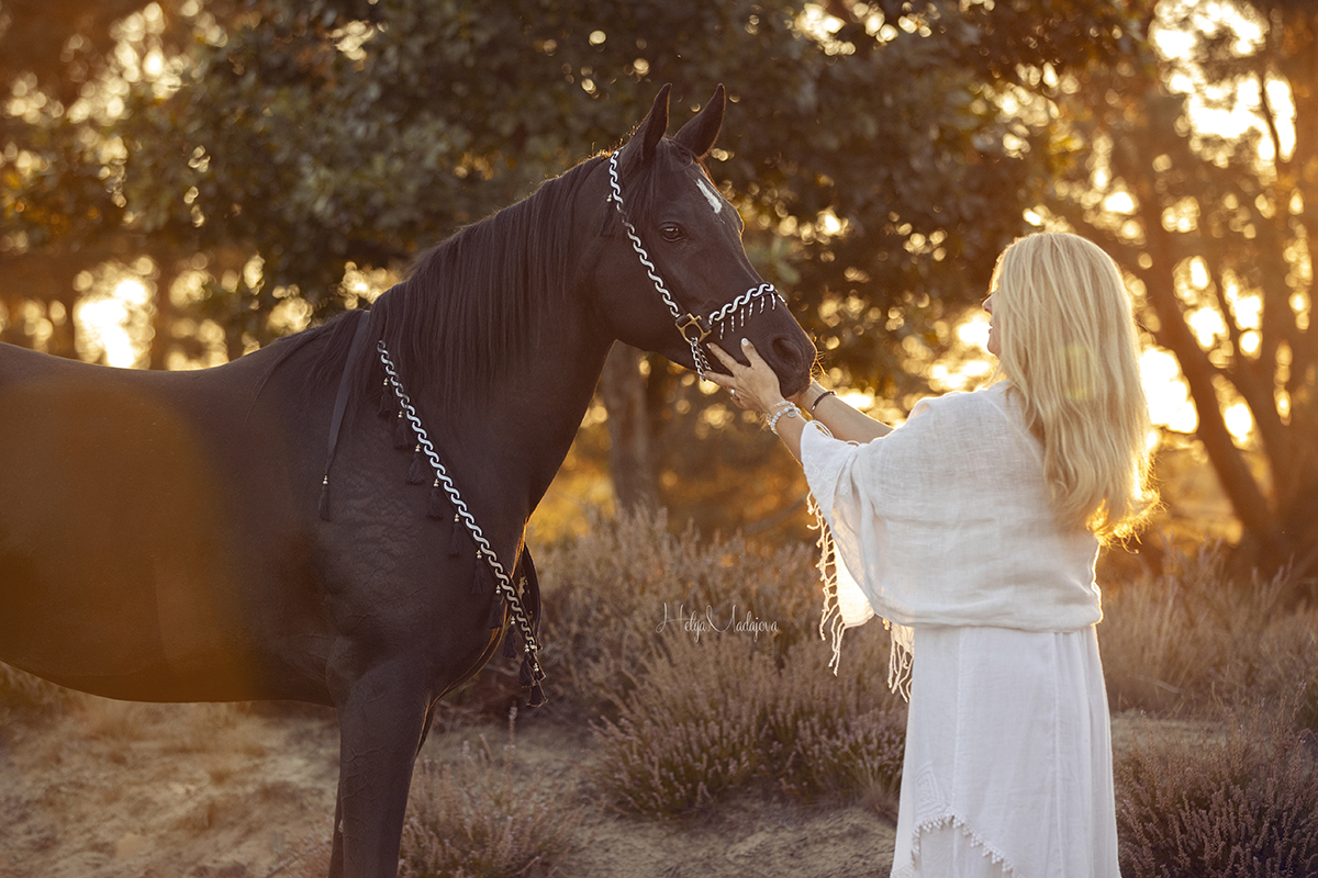 Man and horse