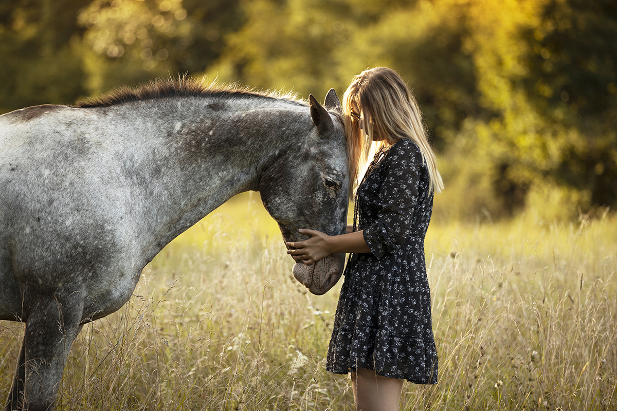 Man and horse