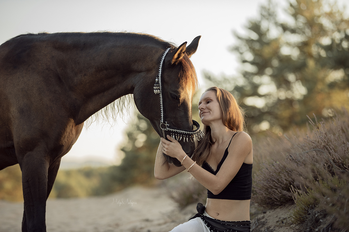Man and horse