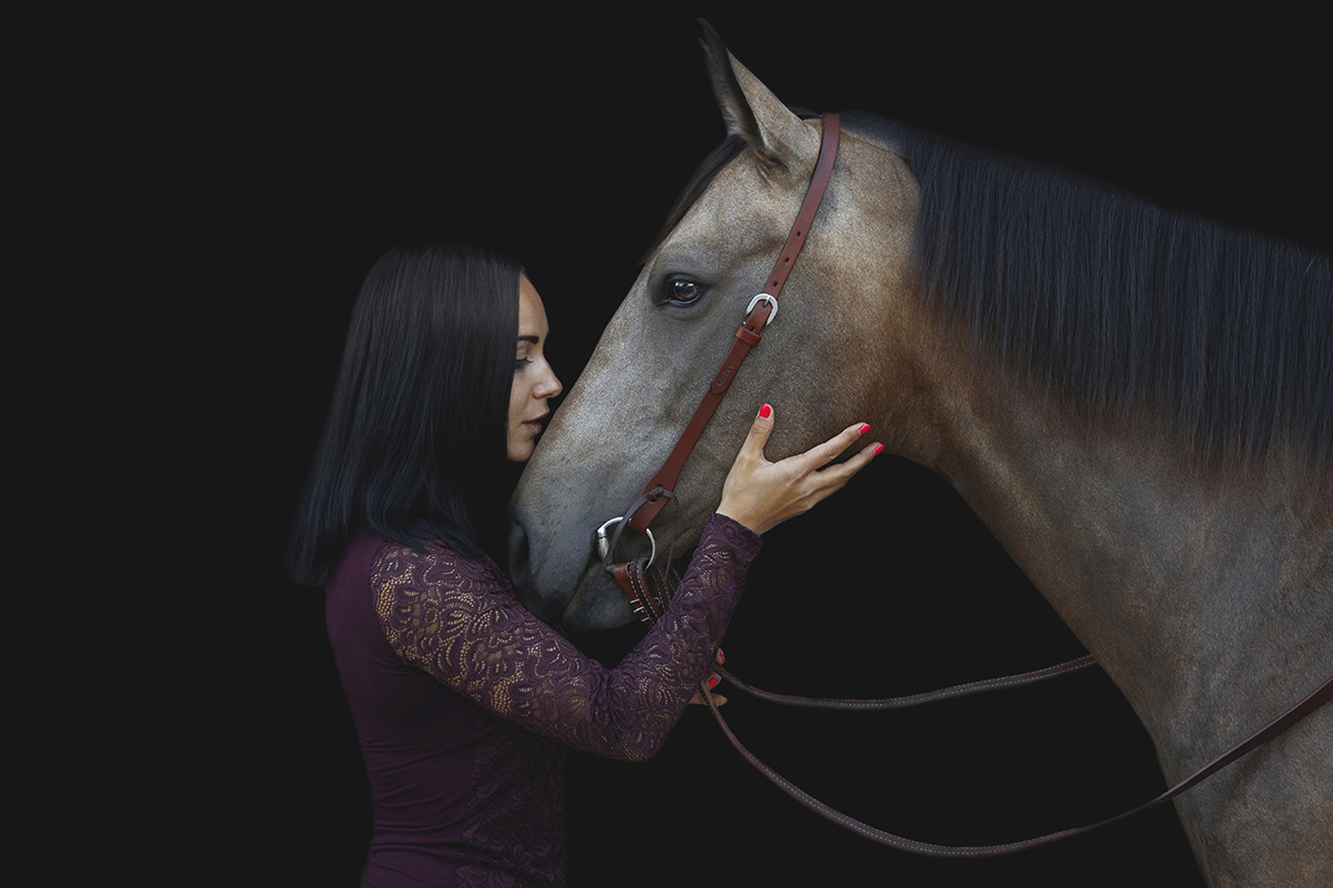 Man and horse
