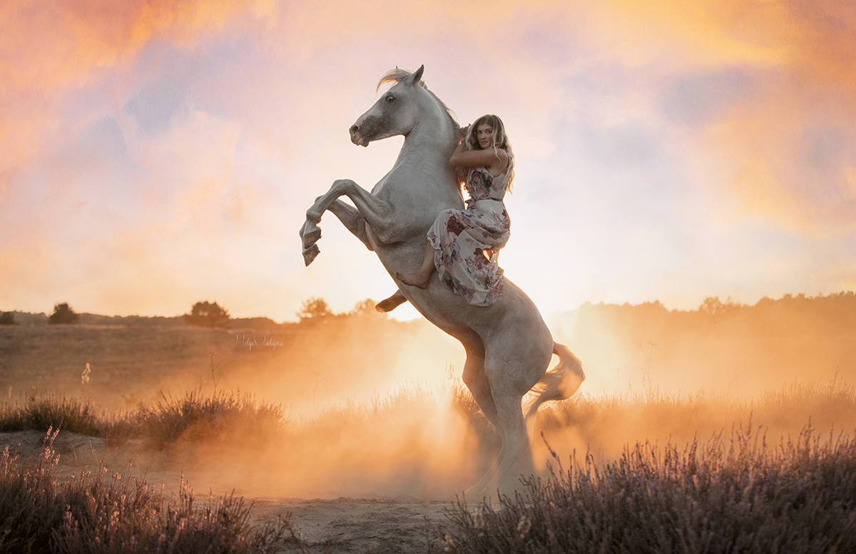 Man and horse