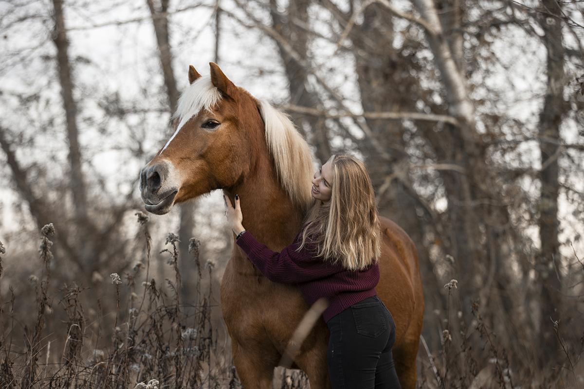 Man and horse