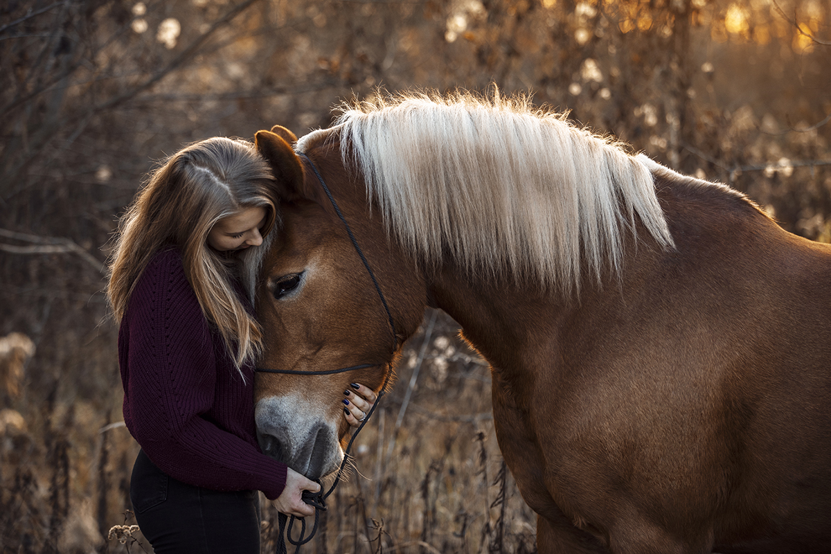 Man and horse