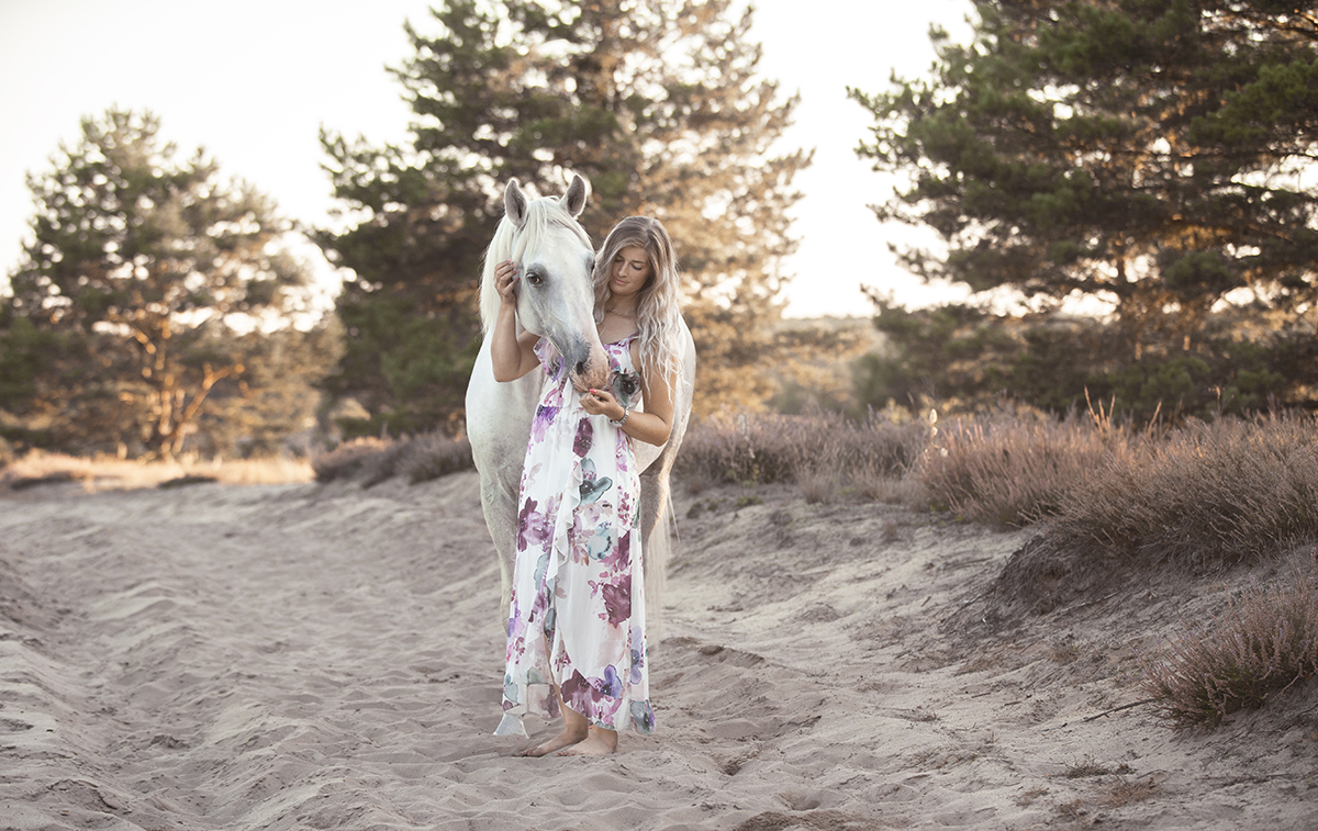 Man and horse