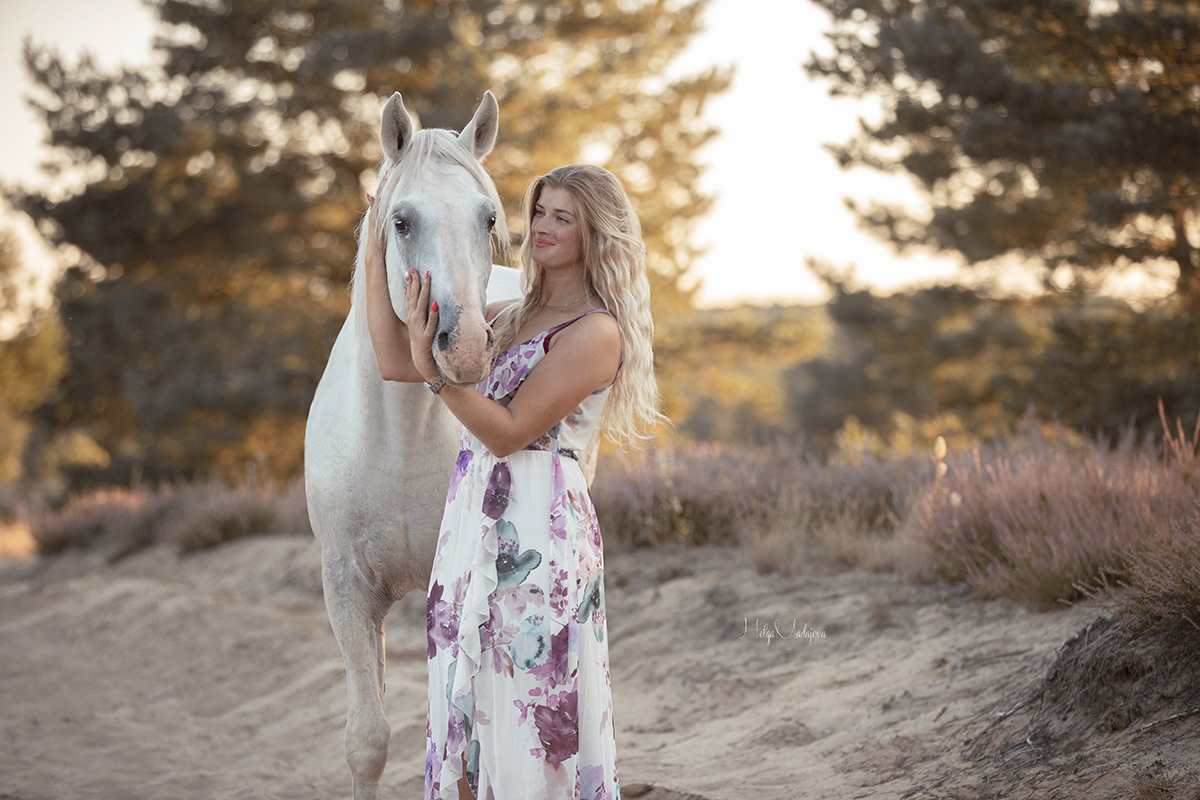 Man and horse