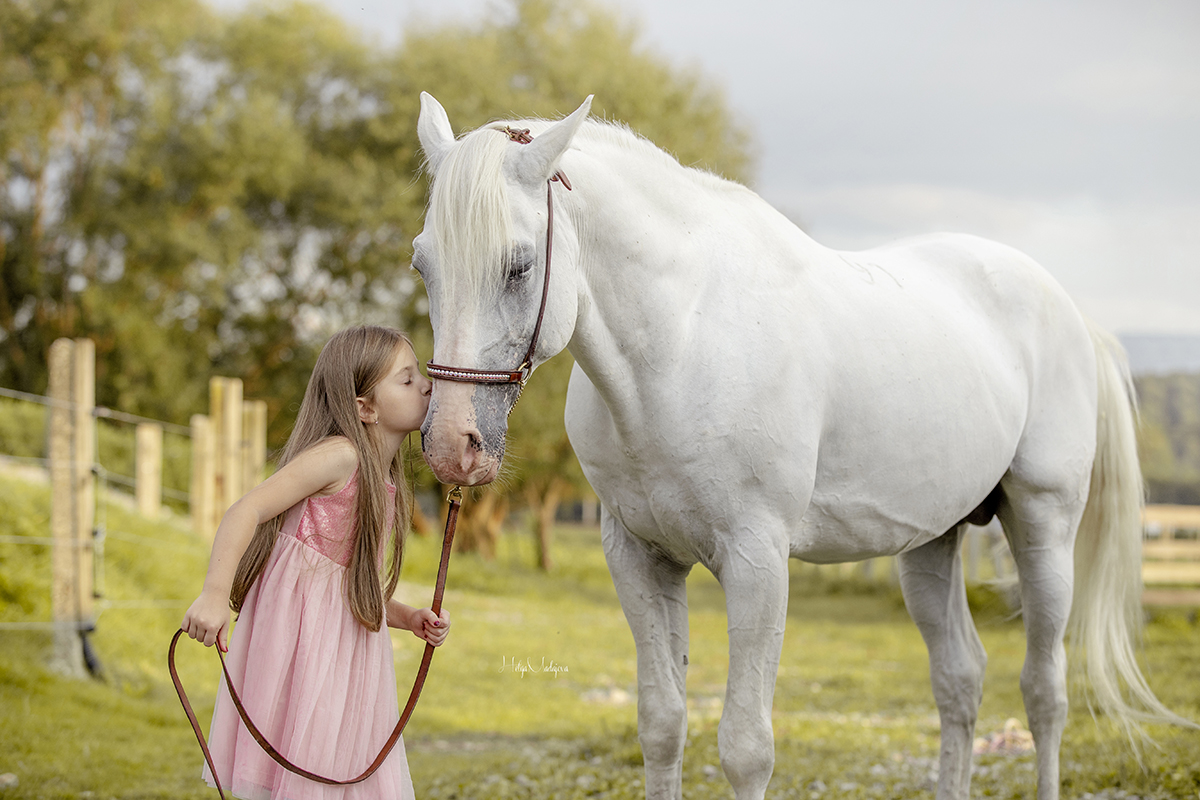 Man and horse
