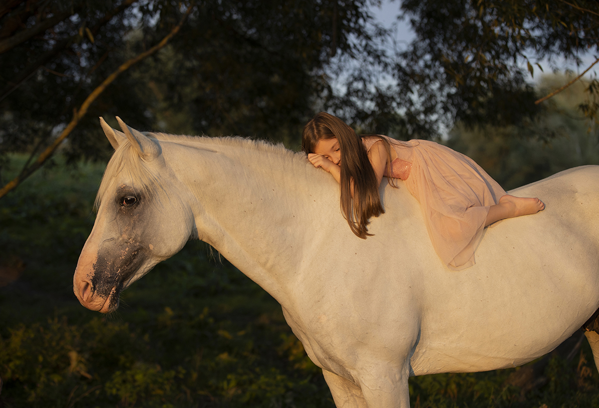 Man and horse